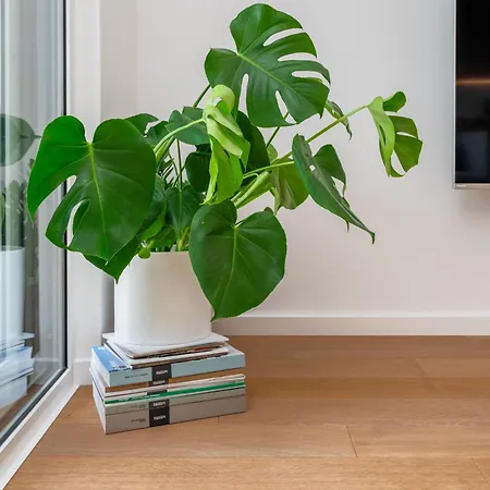 Sun Oliver Apartment *